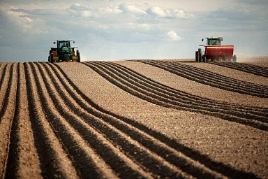 В Минсельхозе обсудили ход сезонных полевых работ и ситуацию на продовольственных рынках в регионах