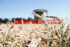 Вениамин Кондратьев: Аграрии Кубани одними из первых в России приступили к уборке зерновых культур