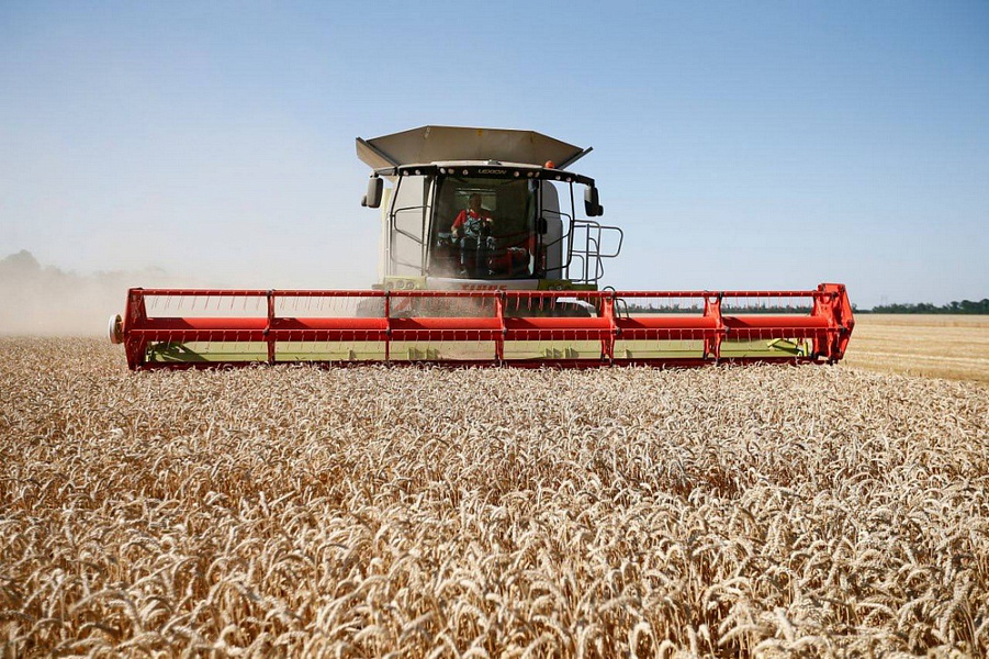 Вениамин Кондратьев: В Краснодарском крае стартовала уборка зерновых