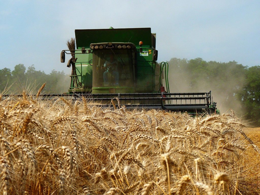 Аграрии Краснодарского края намолотили первый миллион тонн зерновых